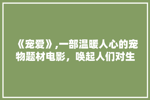 《宠爱》,一部温暖人心的宠物题材电影，唤起人们对生命的尊重与关爱 《宠爱》,一部温暖人心的宠物题材电影，唤起人们对生命的尊重与关爱 操作系统