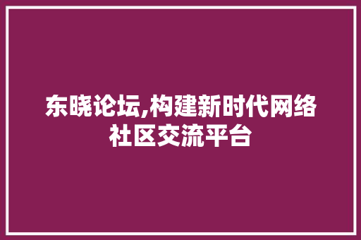 东晓论坛,构建新时代网络社区交流平台 东晓论坛,构建新时代网络社区交流平台 编程语言