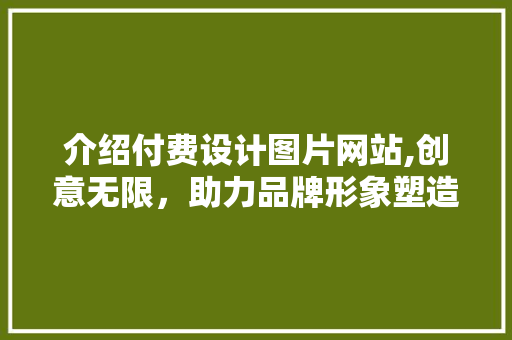介绍付费设计图片网站,创意无限,助力品牌形象塑造 电脑故障维修 介绍付费设计图片网站,创意无限,助力品牌形象塑造 介绍付费设计图片网站,创意无限,助力品牌形象塑造 电脑故障维修