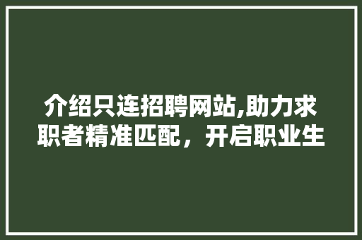 介绍只连招聘网站,助力求职者精准匹配，开启职业生涯新篇章 介绍只连招聘网站,助力求职者精准匹配，开启职业生涯新篇章 电脑故障维修