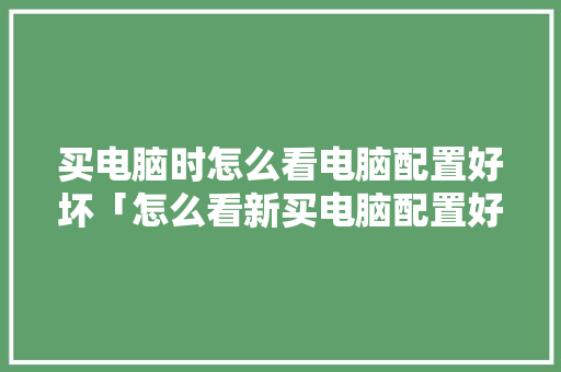 买电脑时怎么看电脑配置好坏「怎么看新买电脑配置好坏啊」 买电脑时怎么看电脑配置好坏「怎么看新买电脑配置好坏啊」 操作系统
