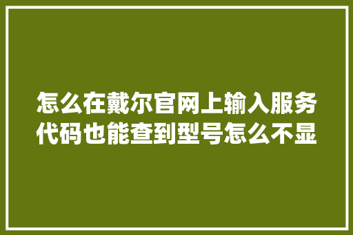 怎么在戴尔官网上输入服务代码也能查到型号怎么不显示配置_电脑配置咋么看 编程语言