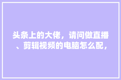 头条上的大佬，请问做直播、剪辑视频的电脑怎么配，预算能贵就贵_鲁班大师怎么看电脑配置参数