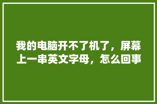 我的电脑开不了机了，屏幕上一串英文字母，怎么回事啊_电脑英文基础知识大全 电脑故障维修