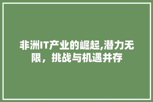 非洲IT产业的崛起,潜力无限，挑战与机遇并存 电脑故障维修