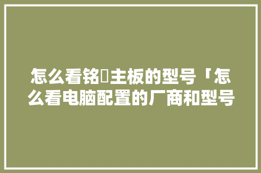 怎么看铭瑄主板的型号「怎么看电脑配置的厂商和型号」
