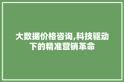 大数据价格咨询,科技驱动下的精准营销革命 编程语言