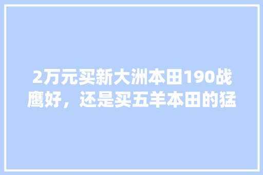 2万元买新大洲本田190战鹰好，还是买五羊本田的猛鸷好_战鹰电脑配置参数怎么看的