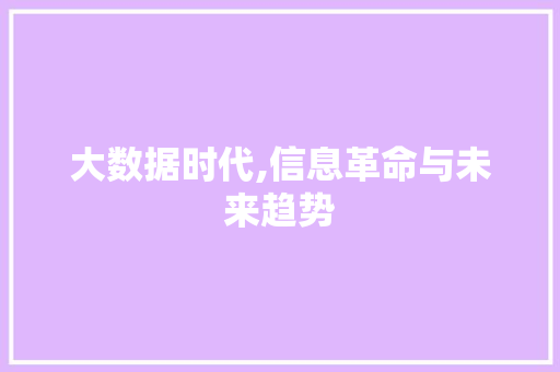 大数据时代,信息革命与未来趋势
