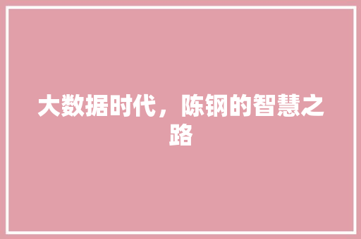 大数据时代,陈钢的智慧之路 操作系统 大数据时代,陈钢的智慧之路 操作系统