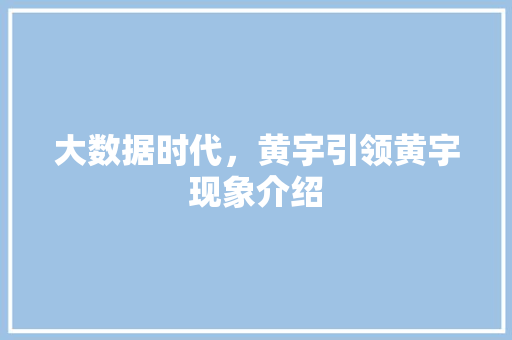 大数据时代，黄宇引领黄宇现象介绍