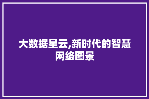 大数据星云,新时代的智慧网络图景