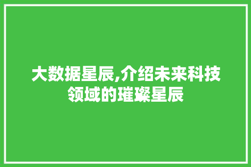 大数据星辰,介绍未来科技领域的璀璨星辰 电脑配置