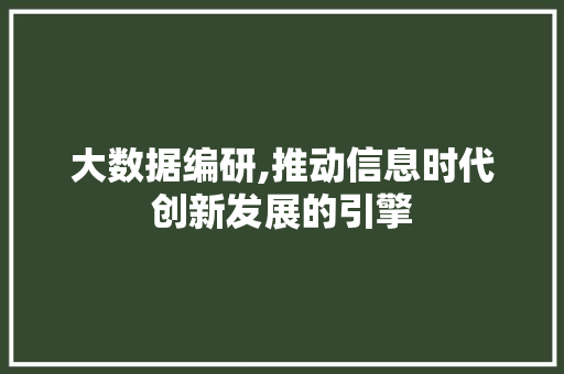 大数据编研,推动信息时代创新发展的引擎 电脑基础