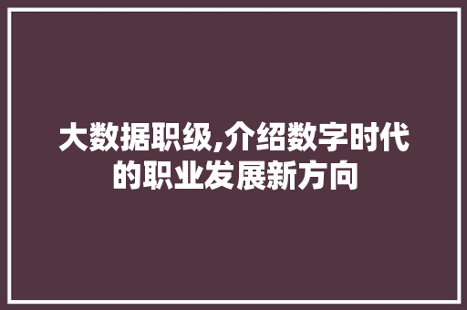大数据职级,介绍数字时代的职业发展新方向 电脑配置 大数据职级,介绍数字时代的职业发展新方向 电脑配置
