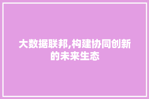大数据联邦,构建协同创新的未来生态