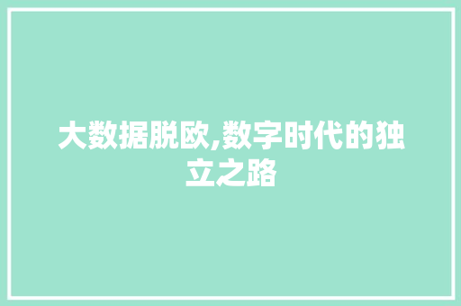 大数据脱欧,数字时代的独立之路