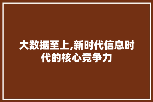 大数据至上,新时代信息时代的核心竞争力 网络技术