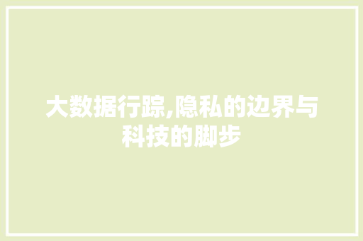 大数据行踪,隐私的边界与科技的脚步 网络技术 大数据行踪,隐私的边界与科技的脚步 网络技术