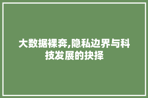 大数据裸奔,隐私边界与科技发展的抉择 编程语言