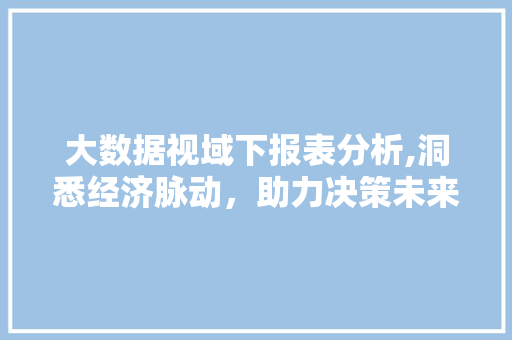 大数据视域下报表分析,洞悉经济脉动,助力决策未来 编程语言 大数据视域下报表分析,洞悉经济脉动,助力决策未来 编程语言