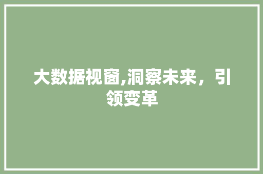 大数据视窗,洞察未来，引领变革 网络技术