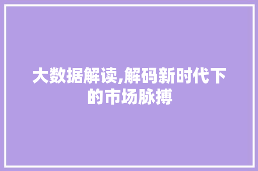 大数据解读,解码新时代下的市场脉搏 编程语言