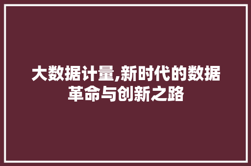 大数据计量,新时代的数据革命与创新之路 电脑基础 大数据计量,新时代的数据革命与创新之路 电脑基础