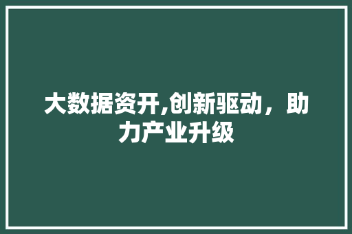 大数据资开,创新驱动，助力产业升级