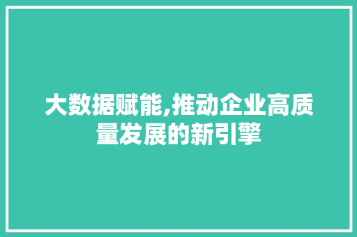 大数据赋能,推动企业高质量发展的新引擎 电脑故障维修