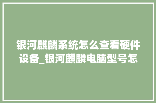 银河麒麟系统怎么查看硬件设备_银河麒麟电脑型号怎么看 银河麒麟系统怎么查看硬件设备_银河麒麟电脑型号怎么看