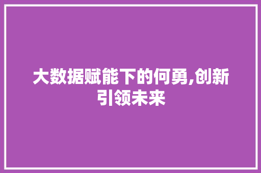 大数据赋能下的何勇,创新引领未来 电脑故障维修