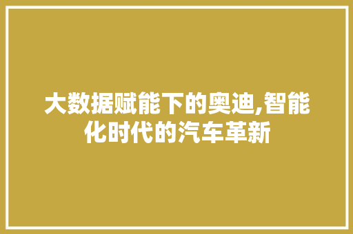 大数据赋能下的奥迪,智能化时代的汽车革新 电脑配置