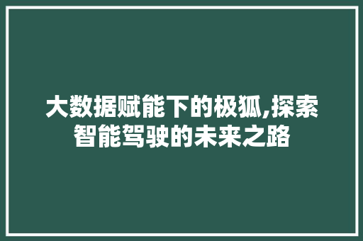 大数据赋能下的极狐,探索智能驾驶的未来之路 电脑故障维修 大数据赋能下的极狐,探索智能驾驶的未来之路 电脑故障维修