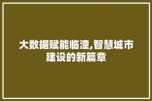 大数据赋能临潼,智慧城市建设的新篇章 网络技术