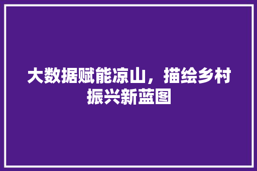 大数据赋能凉山，描绘乡村振兴新蓝图