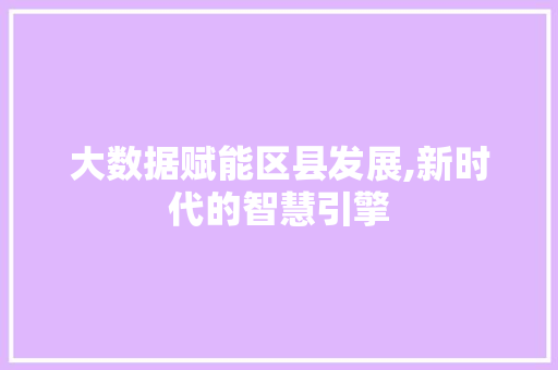 大数据赋能区县发展,新时代的智慧引擎