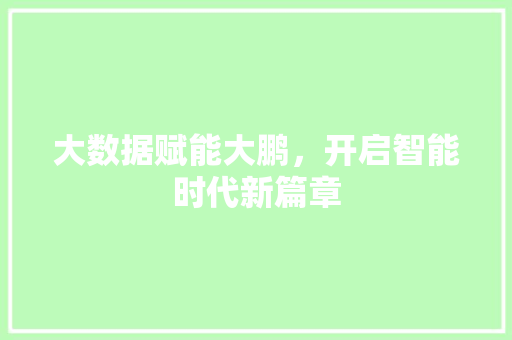 大数据赋能大鹏，开启智能时代新篇章
