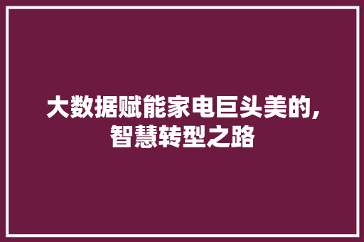 大数据赋能家电巨头美的,智慧转型之路