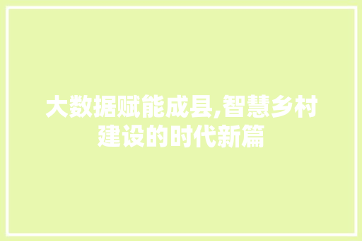 大数据赋能成县,智慧乡村建设的时代新篇