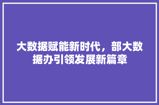 大数据赋能新时代，部大数据办引领发展新篇章