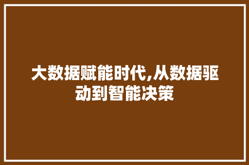 大数据赋能时代,从数据驱动到智能决策 电脑基础