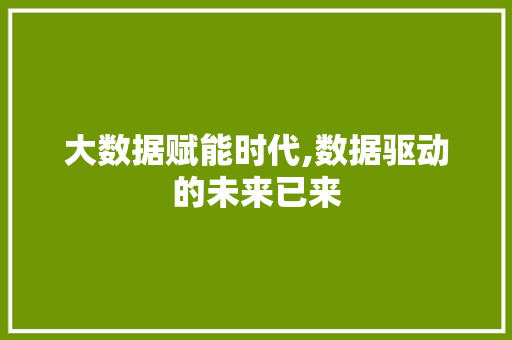 大数据赋能时代,数据驱动的未来已来 电脑故障维修