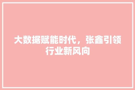 大数据赋能时代，张鑫引领行业新风向 电脑基础