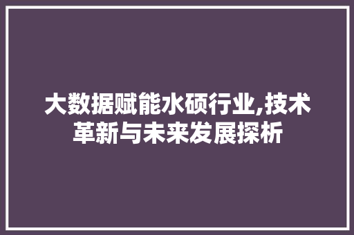 大数据赋能水硕行业,技术革新与未来发展探析 电脑故障维修