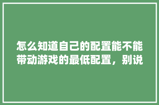 怎么知道自己的配置能不能带动游戏的最低配置，别说看，我看不懂，有没有更简单的_怎么看电脑真实配置信息 电脑配置