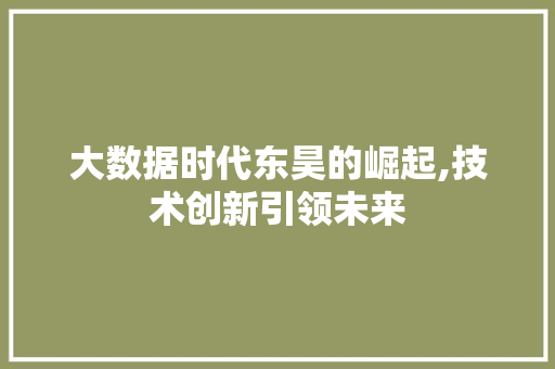 大数据时代东昊的崛起,技术创新引领未来