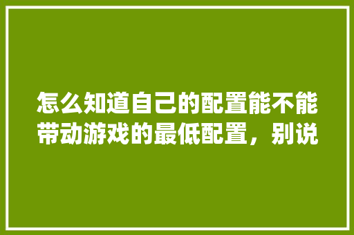 怎么知道自己的配置能不能带动游戏的最低配置，别说看，我看不懂，有没有更简单的_新电脑看配置怎么看型号 电脑基础