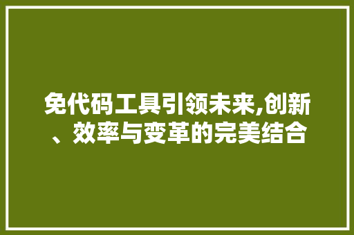 免代码工具引领未来,创新、效率与变革的完美结合 网络技术
