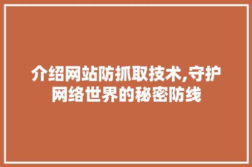 介绍网站防抓取技术,守护网络世界的秘密防线